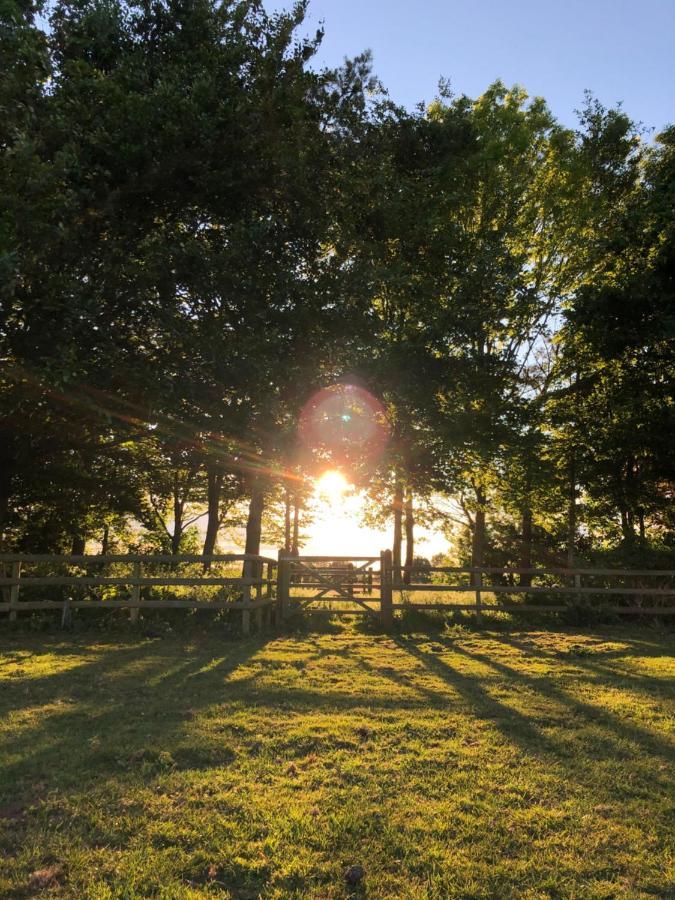 Nine Acres, Peaceful Brackley (Northamptonshire) Exterior foto